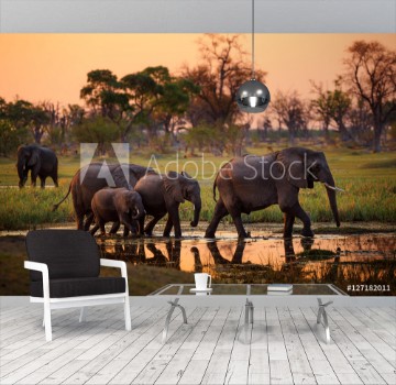 Bild på Elephants in Moremi Game Reserve - Botswana